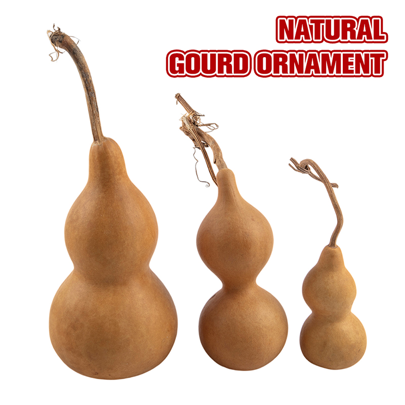 1pc Natural Gourd Handicraft O - огляд і ціна Longevity Health & Wellness Hotel