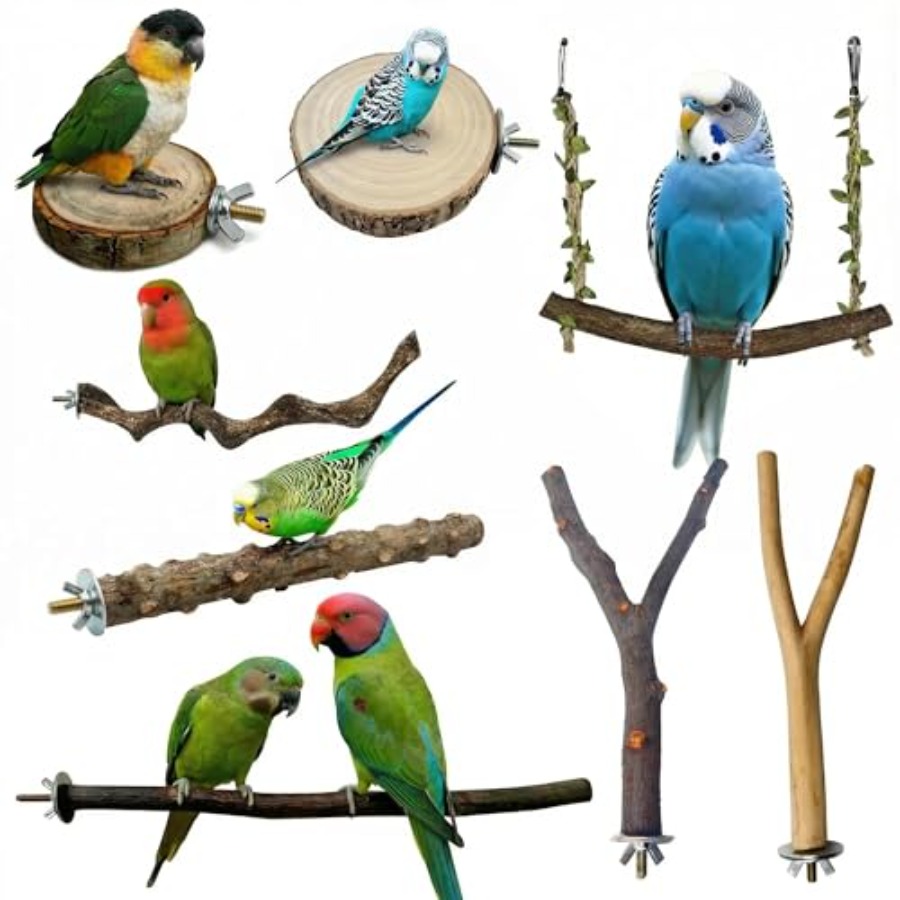 8PCS natural wood bird perches - огляд і ціна Health & Wellness Programs