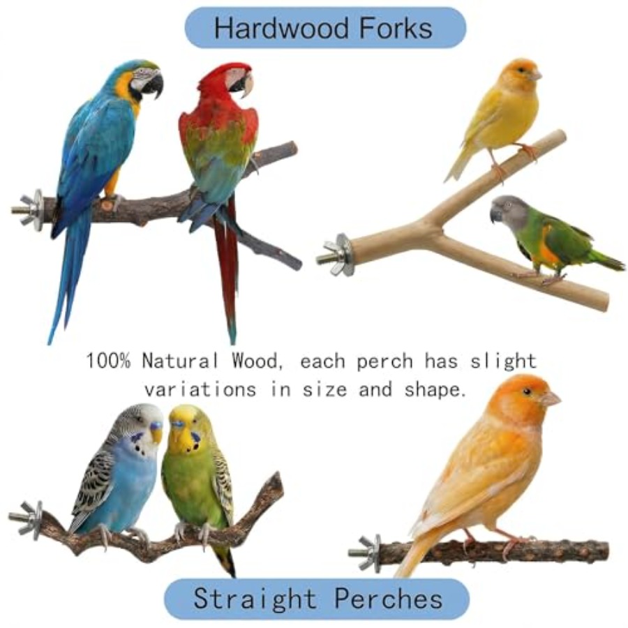 8PCS natural wood bird perches - огляд і ціна Health & Wellness Programs